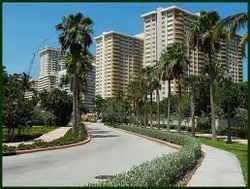 Galt Ocean Mile