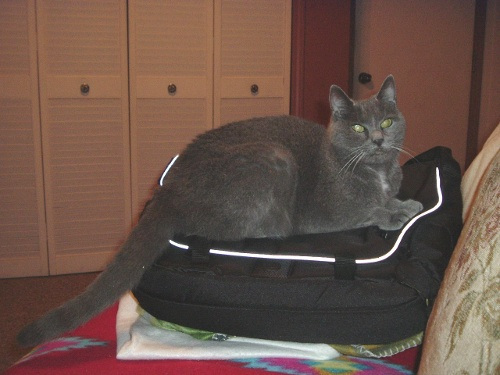 KatyaonCase