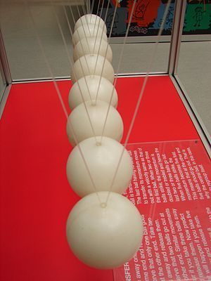 Momentum 08131 nevit