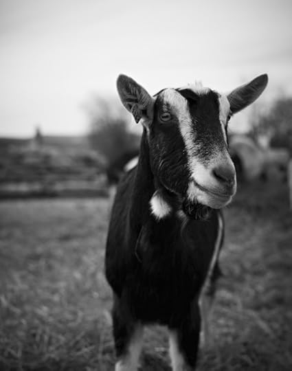 Shot_05_282