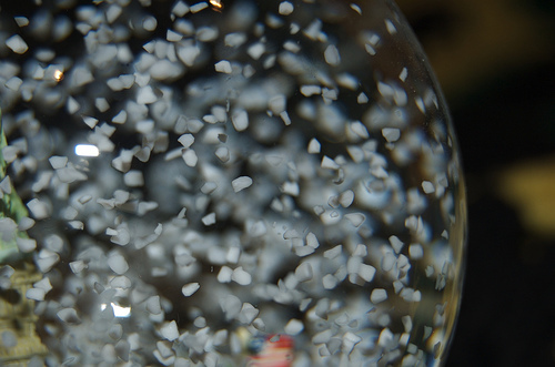 snowglobe