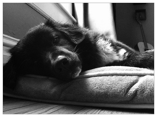 Arty Greyson says rainy days are no damn fun.