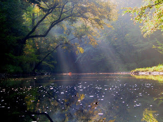 late summer light
