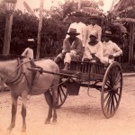 Filipinos in a horse-drawn calesa.