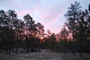 Hold Little Ones Near.