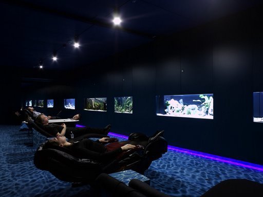 Google's Black Light Aquarium Room