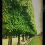 Luxembourg Gardens © Harold Davis