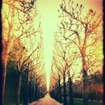 Parc de Sceaux © Harold Davis