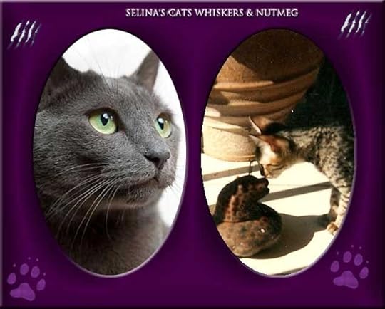 selina-kyles-cats-whiskers-and-nutmeg