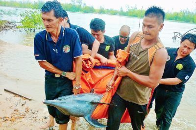 doc683q9hyjd6aq6zhh2a