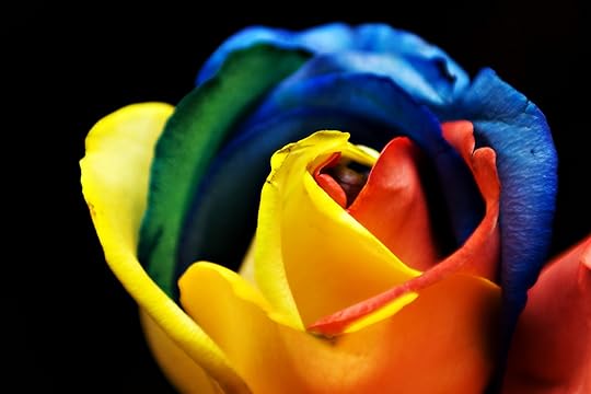 Rainbow_Rose