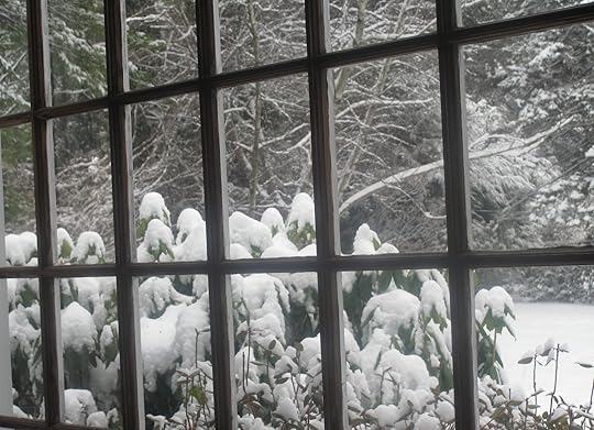 Boston Snow, photo by Susan Katz Miller