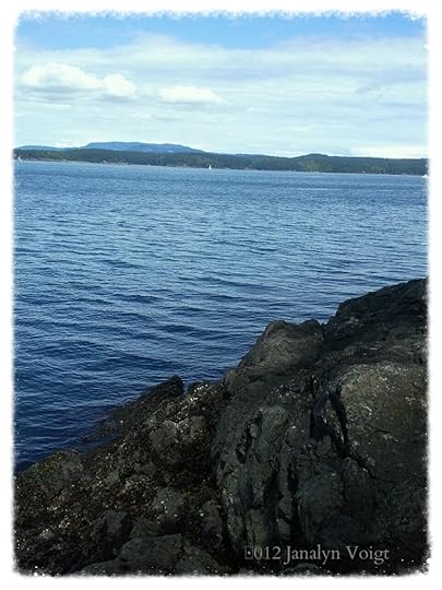 Black rock and the sea San Juan Island