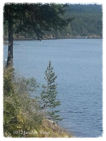 San Juan Island Shoreline