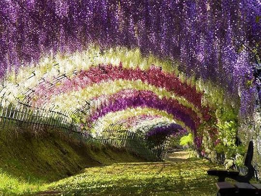 Click to visit the original post