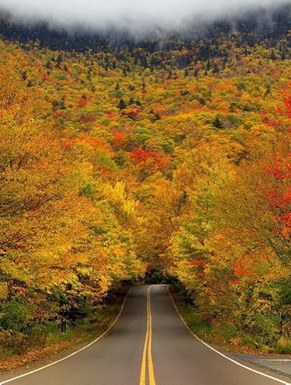 Click to visit the original post