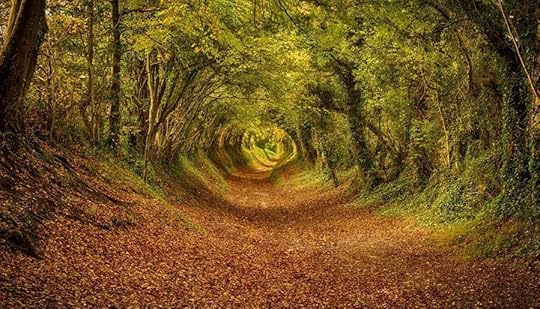 Click to visit the original post