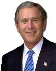bush