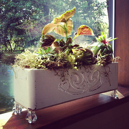 Mom's house tour, good idea #1