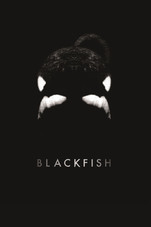 BFish-iTunes_BFish-iTunes.227x227-75