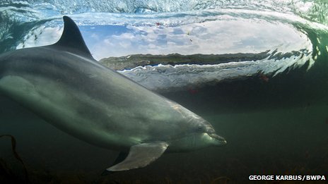 _69589409_pa019132678