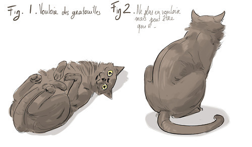 tumblr_md5aguuigH1rjns5oo1_500.jpg