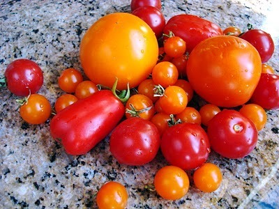 Tomatoes