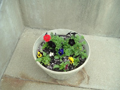 planter