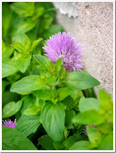 30 June 2 26-06-2013 11-26-32