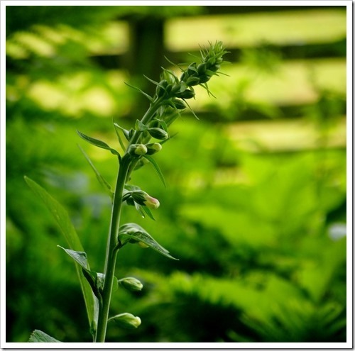 30 June 6 21-06-2013 11-28-18