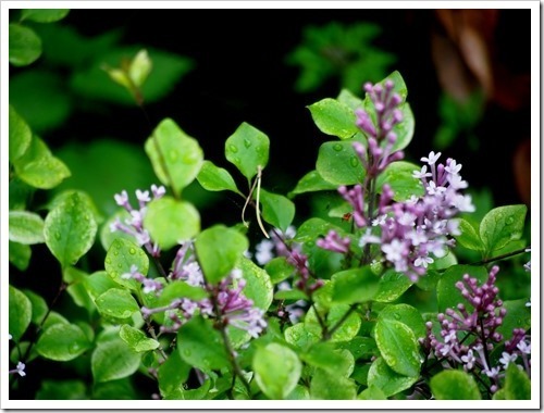 30 June 6 21-06-2013 11-31-19