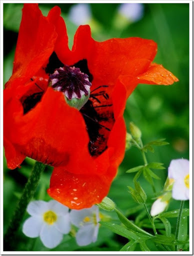 30 June 7 21-06-2013 11-30-37