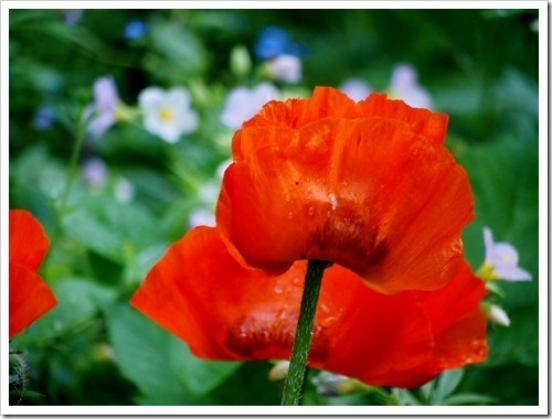 30 June 7 21-06-2013 11-30-51