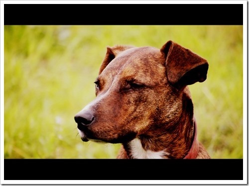 30 June 9 25-06-2013 14-48-24