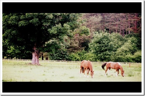 30 June 10 25-06-2013 14-45-04