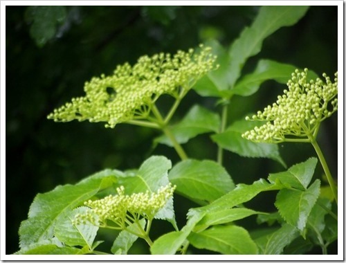 28 June 2 28-06-2013 10-33-36