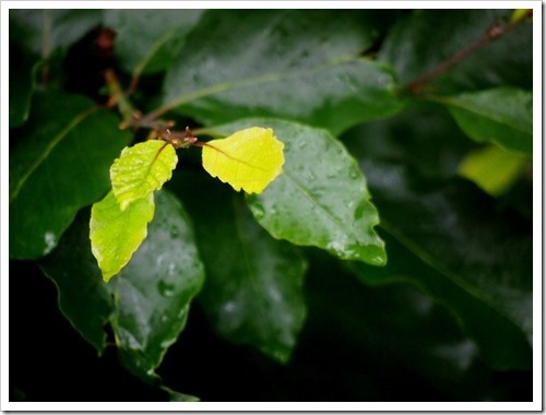 28 June 3 28-06-2013 10-33-50