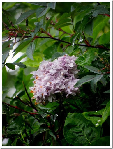 28 June 5 28-06-2013 10-34-02