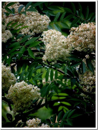 28 June 6 28-06-2013 10-34-08