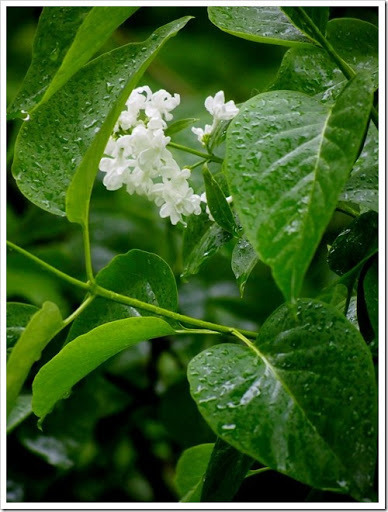 28 June 6 28-06-2013 10-34-44