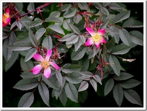 28 June 7 28-06-2013 10-34-15