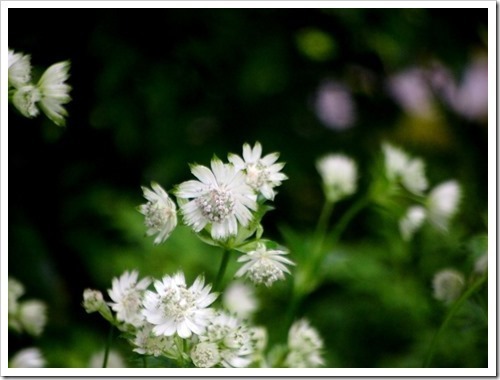 28 June 8 28-06-2013 10-34-58