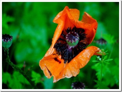 28 June 8 28-06-2013 10-35-15