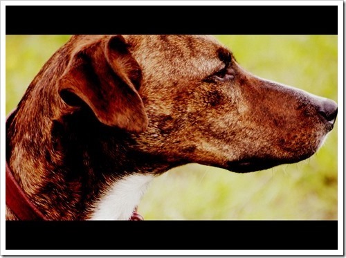 28 June 15 25-06-2013 14-48-19