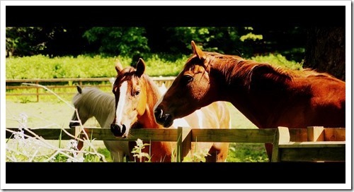 28 June 16 16-06-2013 09-50-58