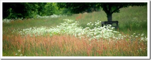 27 June 2 25-06-2013 16-22-50