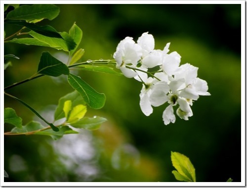 27 June 3 21-06-2013 11-25-03