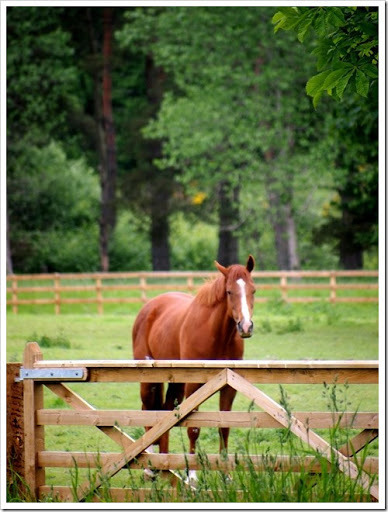 27 June 10 26-06-2013 09-36-19