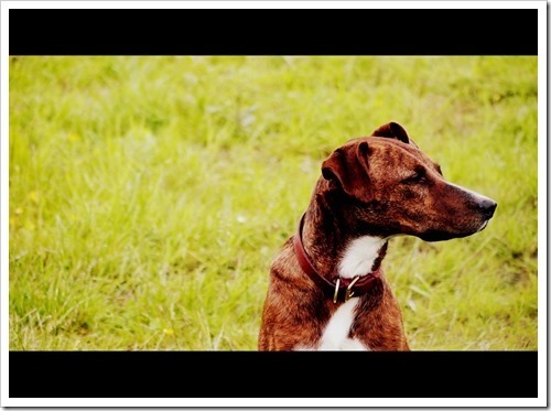 27 June 11 25-06-2013 14-48-51