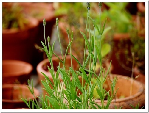 26 June 1 26-06-2013 11-26-19